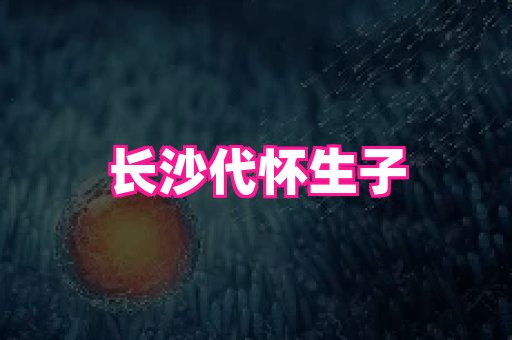 swisee孕网 1