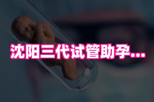 swisee孕网 3