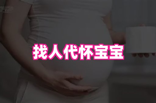 swisee孕网 4